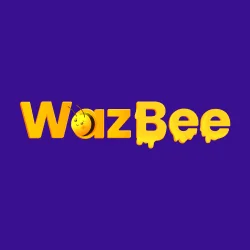 WazBee